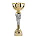 Photo n°1